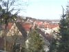 Blick Richtung Wingertsberg